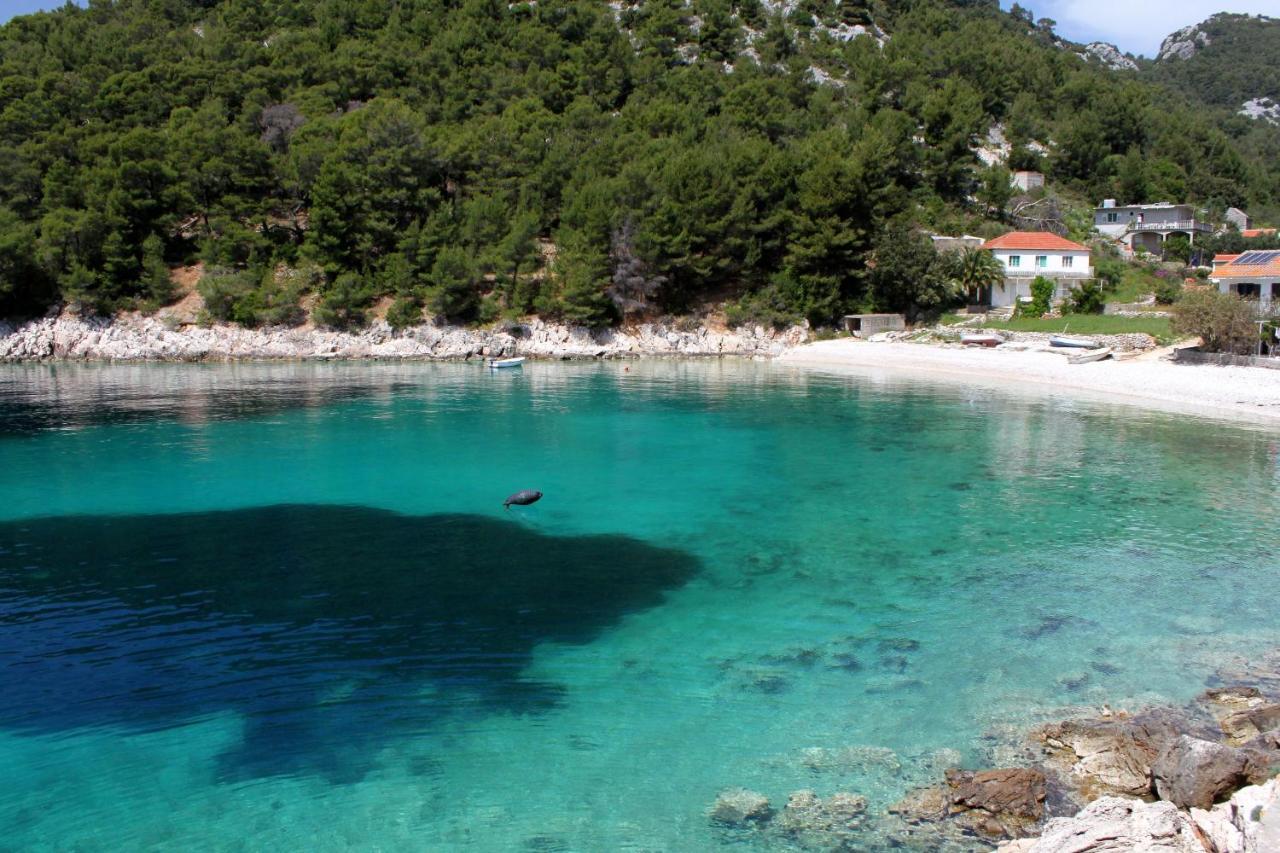 Seaside Secluded Apartments Cove Skozanje, Hvar - 14899 Gdinj Zewnętrze zdjęcie